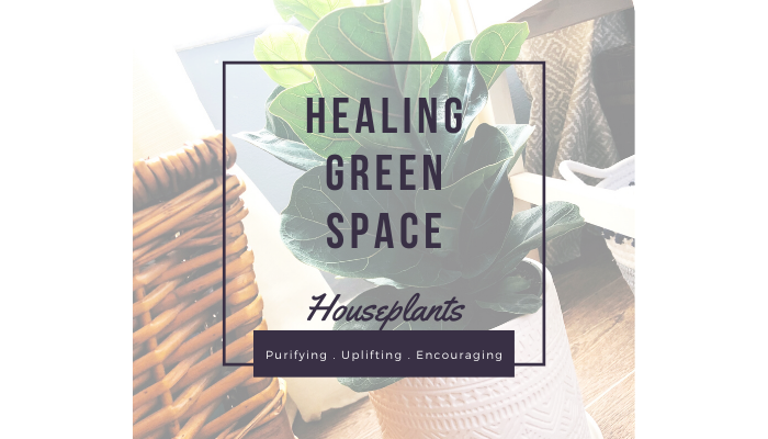 Healing Green Space